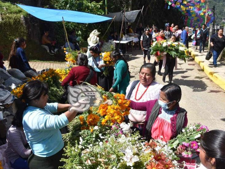 Abarrotan cementerio de Tequila en celebración de Todos Santos (+Video)