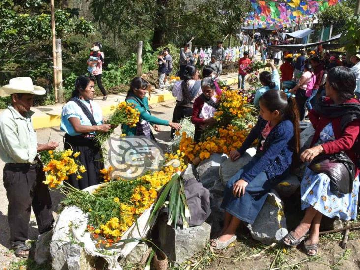 Abarrotan cementerio de Tequila en celebración de Todos Santos (+Video)