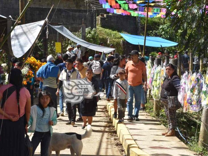 Abarrotan cementerio de Tequila en celebración de Todos Santos (+Video)