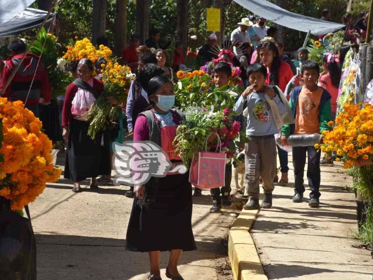 Abarrotan cementerio de Tequila en celebración de Todos Santos (+Video)