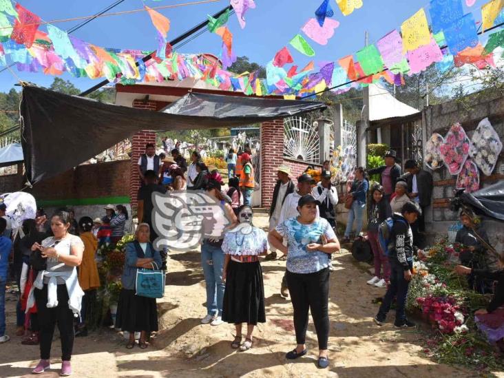 Abarrotan cementerio de Tequila en celebración de Todos Santos (+Video)