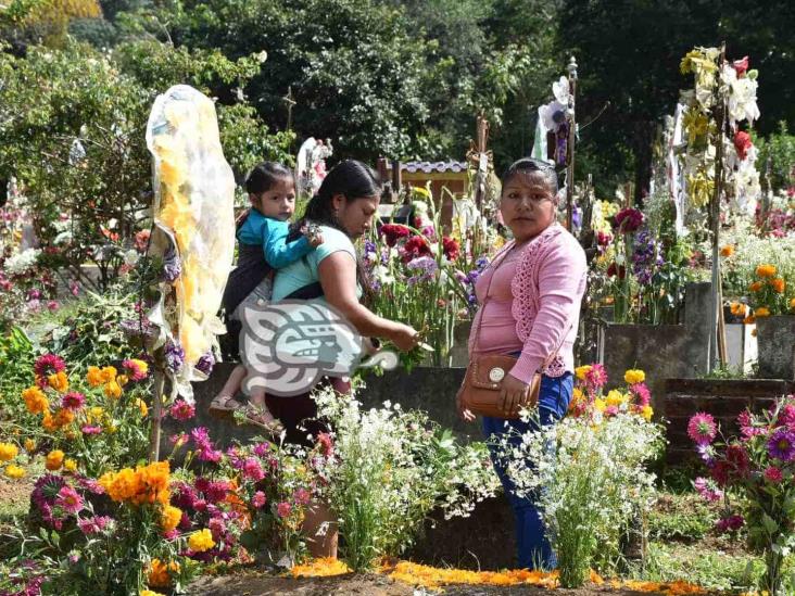 Abarrotan cementerio de Tequila en celebración de Todos Santos (+Video)