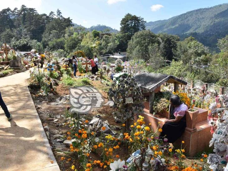 Abarrotan cementerio de Tequila en celebración de Todos Santos (+Video)