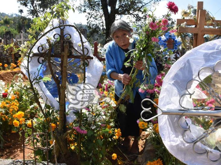 Abarrotan cementerio de Tequila en celebración de Todos Santos (+Video)