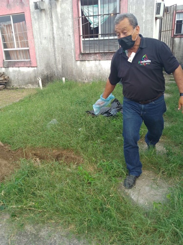 Abandonan a perro sin comida y agua en el interior de un domicilio de Medellín; fue encontrado sin vida