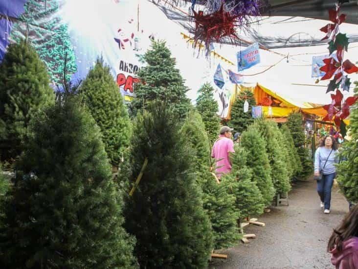 Comerciantes esperan repunte de ventas este año en árboles para Navidad