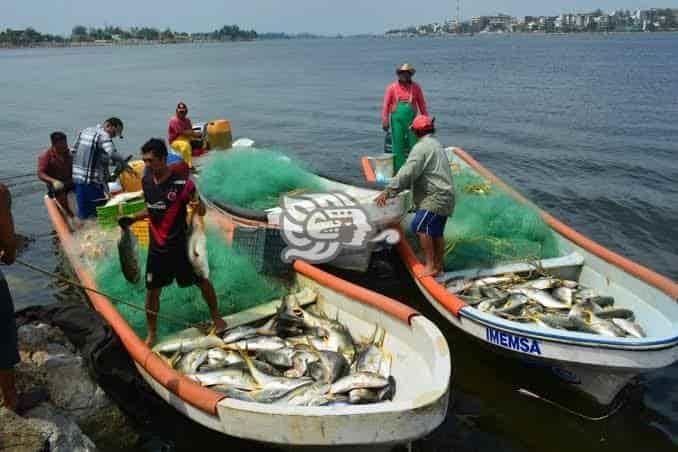 Temporada de nortes deja poca captura de especies para pescadores en Veracruz