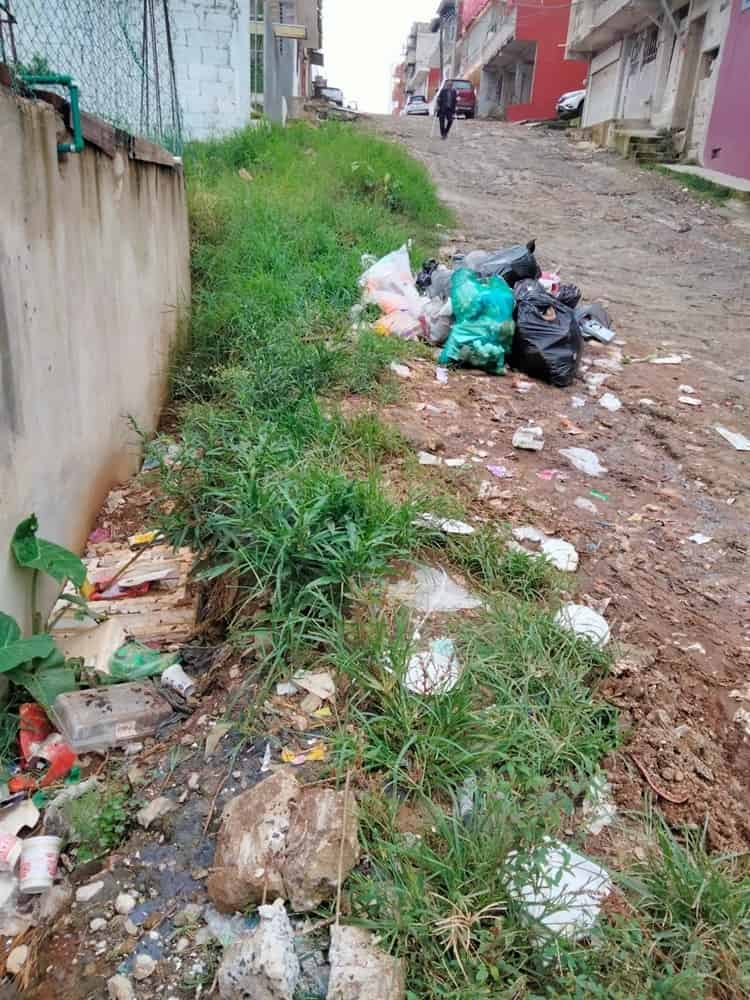 Vecinos y estudiantes del Tec de Xalapa caminan entre la basura