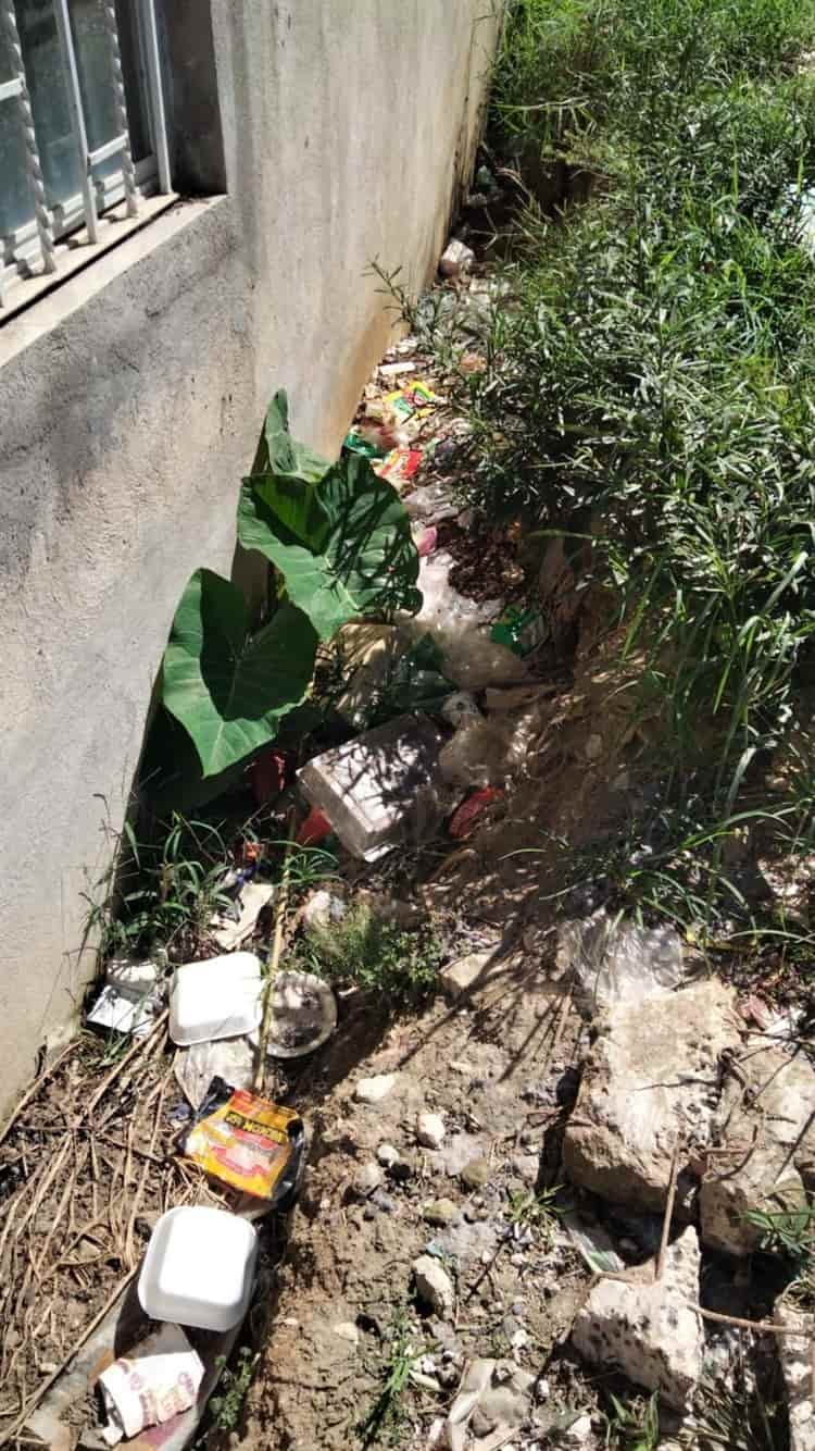 Vecinos y estudiantes del Tec de Xalapa caminan entre la basura