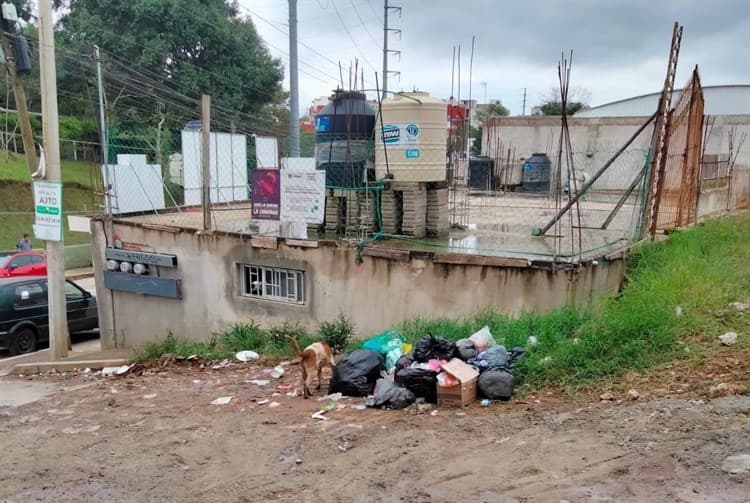 Vecinos y estudiantes del Tec de Xalapa caminan entre la basura