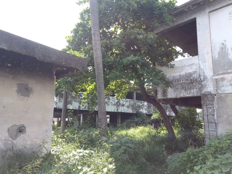 Escuela abandonada en Veracruz genera inseguridad a vecinos