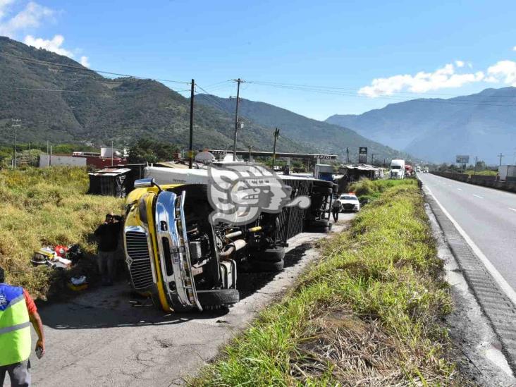 Vuelca tráiler en autopista Orizaba-Puebla, en Nogales (+Video)