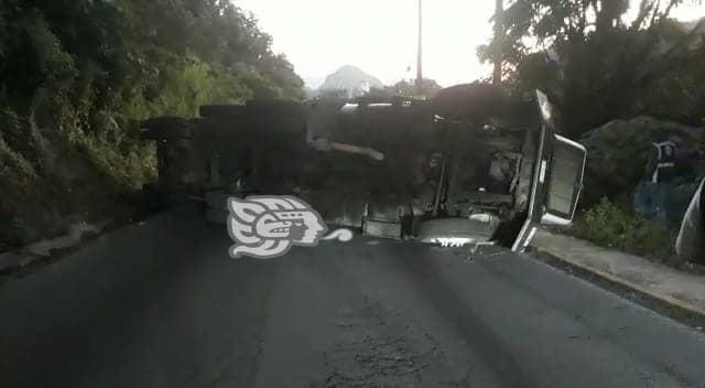 Vuelca tráiler sobre la carretera Xalapa-Misantla; carga queda regada en la cinta asfáltica (+Video)