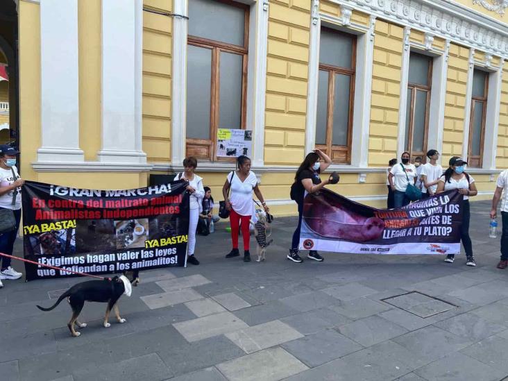 En Orizaba, exigen animalistas aplicar las leyes de protección animal (+Video)