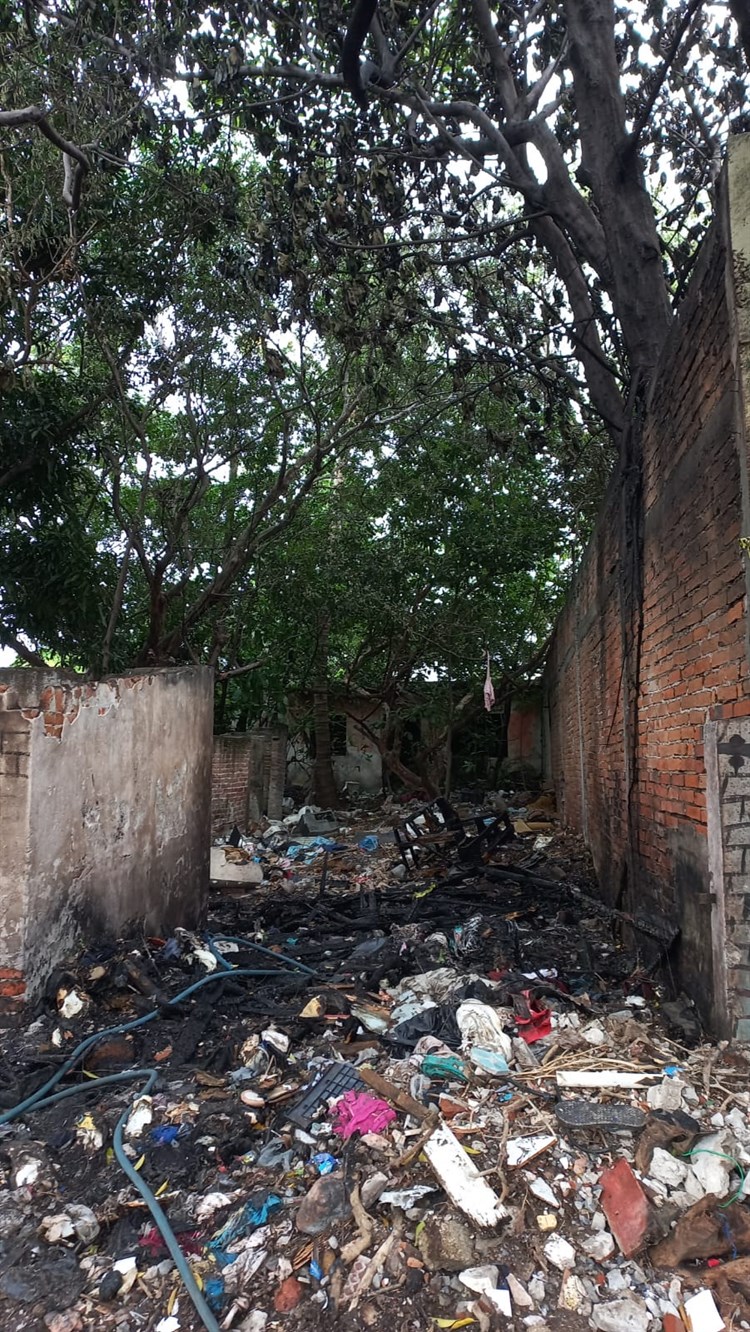 Terrenos baldíos en Veracruz son un peligro y focos de infección (+Video)