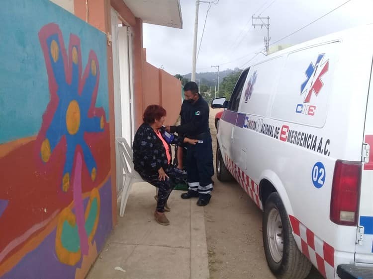 Abejas picaron a niños y adultos en Castillo Chico, en Xalapa