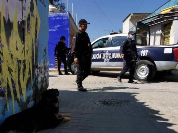 Perro es captado en Oaxaca paseando restos humanos en su hocico (+Video)