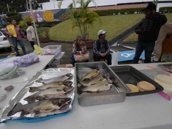 Productores de trucha quieren su propio mercado acuícola en Xalapa (+Video)