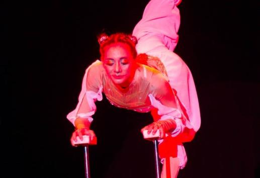 Clase y elegancia demuestra en cada función el Vie de Cirque
