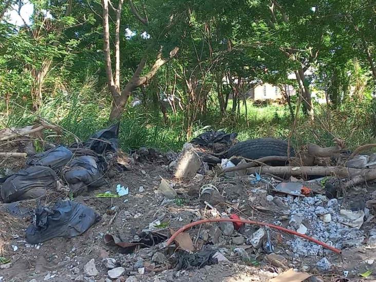 Denuncian ‘nido’ de delincuentes en lote baldío en El Floresta, Veracruz