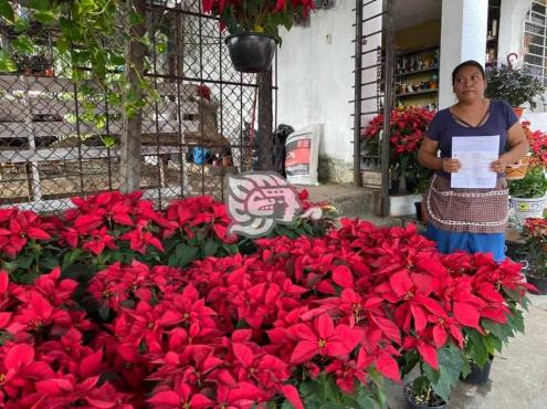 Acusan al área de comercio en Minatitlán de revender espacios para venta de flores