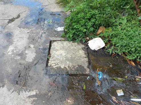 Brotes de aguas negras afecta a vecinos de la Pascual Ortiz Rubio en Veracruz