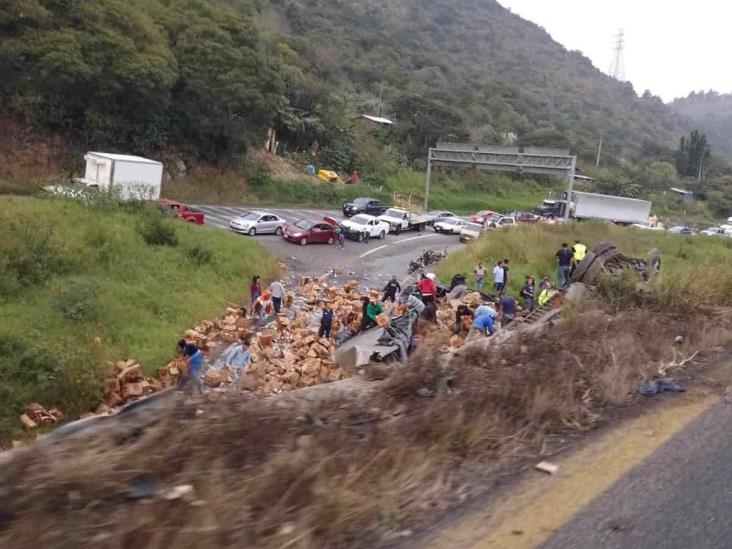 Vuelca tráiler con cerveza sobre la autopista Puebla-Orizaba; llegan rapiñeros por la carga