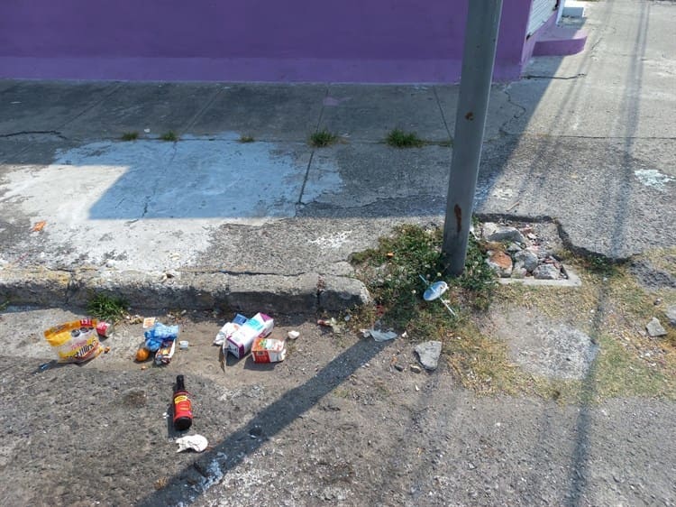 Auto “maceta” y calles en colonia de Veracruz son usadas como basurero