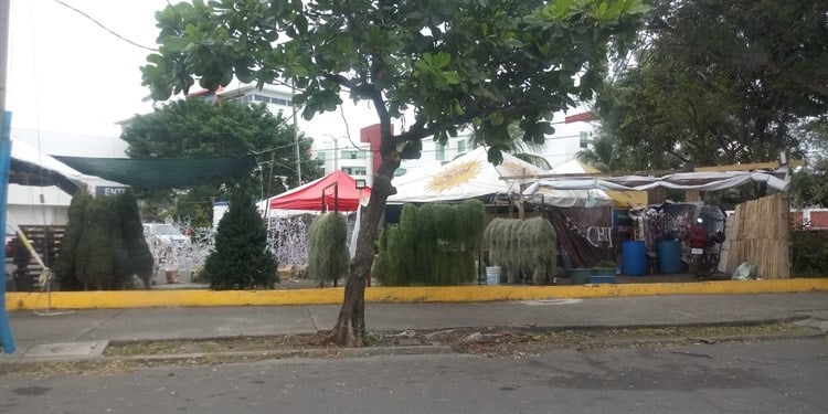 Comerciantes esperan repunte de ventas en árboles de Navidad en Veracruz