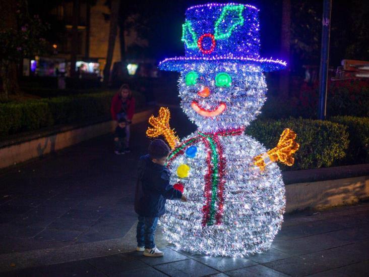 ¡Ya huele a Navidad! Instalan pino monumental en parque Juárez de Xalapa