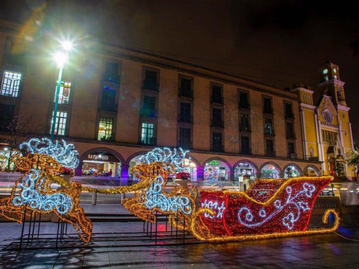 ¡Ya huele a Navidad! Instalan pino monumental en parque Juárez de Xalapa