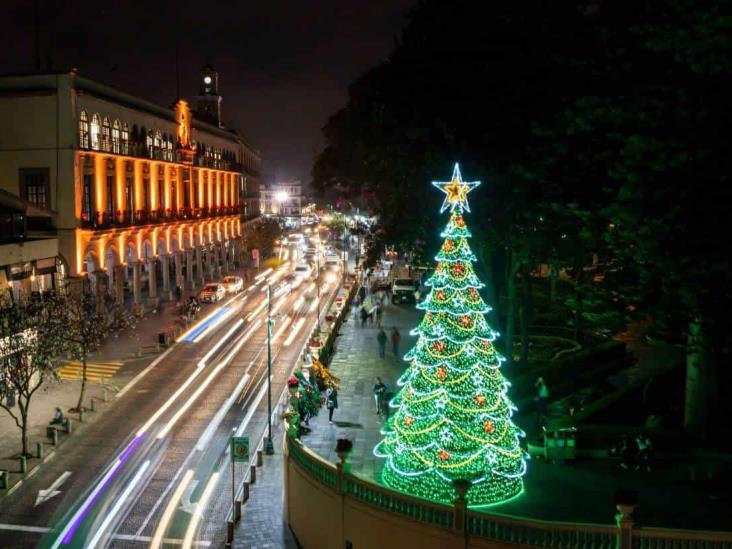 ¡Ya huele a Navidad! Instalan pino monumental en parque Juárez de Xalapa