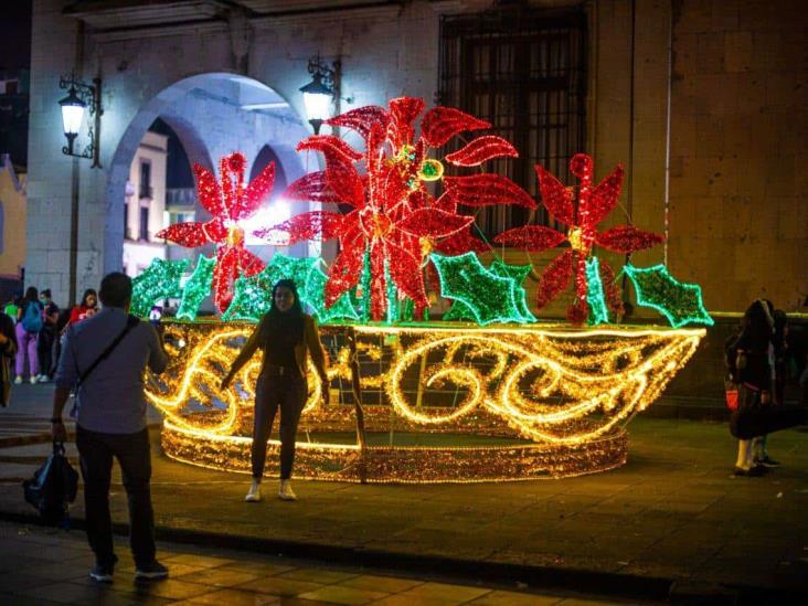 ¡Ya huele a Navidad! Instalan pino monumental en parque Juárez de Xalapa