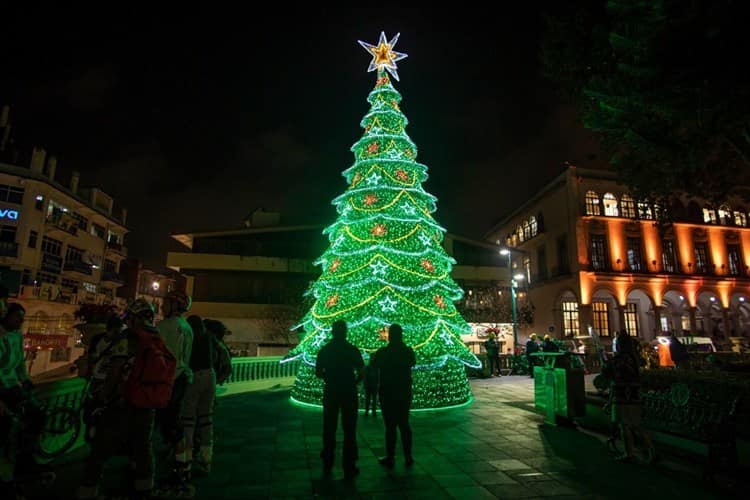 ¡Ya huele a Navidad! Instalan pino monumental en parque Juárez de Xalapa