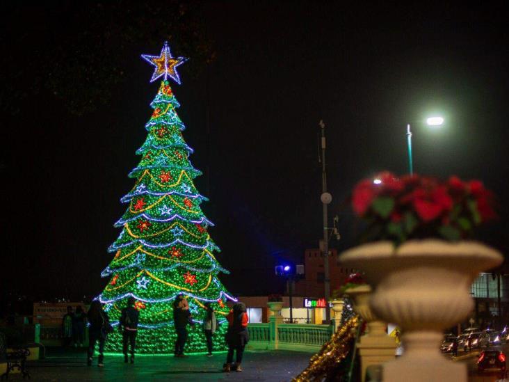 ¡Ya huele a Navidad! Instalan pino monumental en parque Juárez de Xalapa