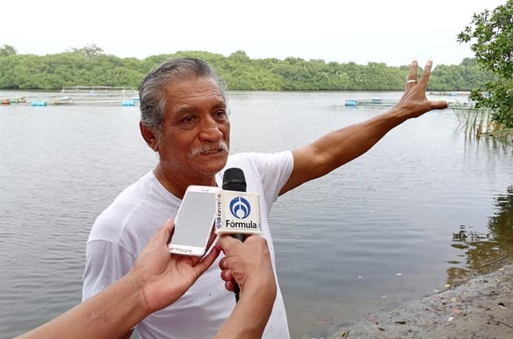 Ingenios de Veracruz acaban con especies y contaminan ríos