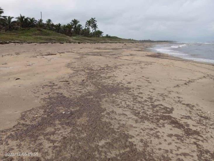 Reportan derrame de combustible en playa del sur de Veracruz
