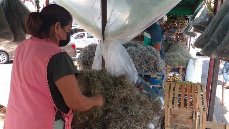 Sufren comerciantes nulas ventas y acoso de inspectores en Coatzacoalcos