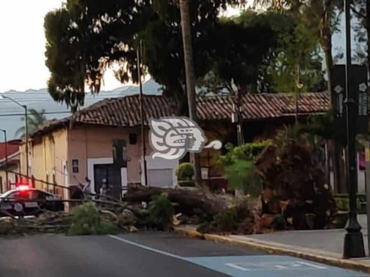 Surada en Orizaba deja un herido y daños en viviendas (+Video)