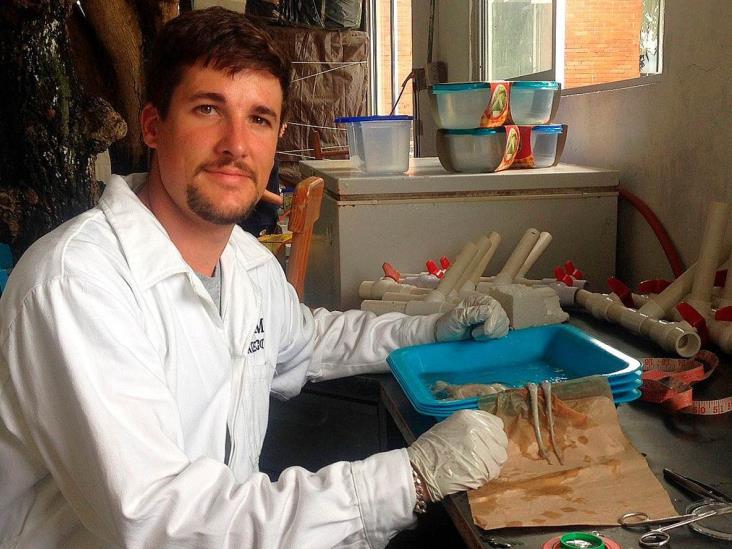 Biólogo español gana premio de la UV por estudio de pulpos en Veracruz