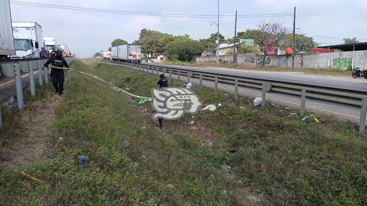 Muere hombre atropellado en la autopista Córdoba-Orizaba