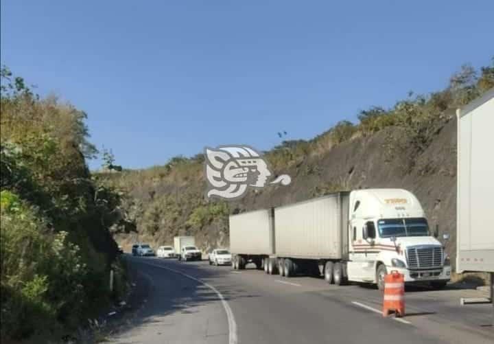 Rapiñan harina tras volcadura en la Puebla-Orizaba (+video)