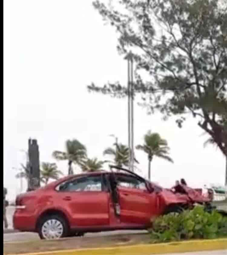 Se estampa automovilista contra palmera en bulevar de Veracruz