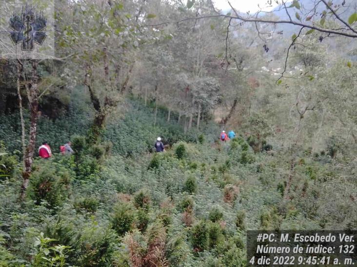 Piden autoridades de PC a familias avisar si salen de excursión