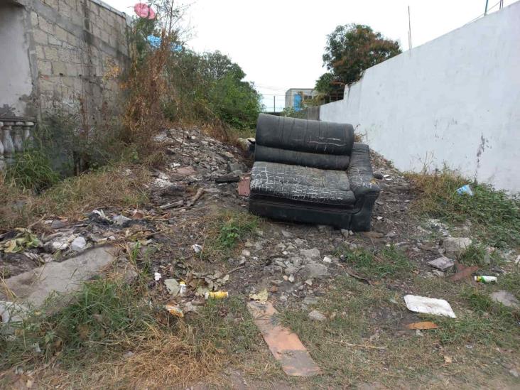 Colonia Las Bajadas, entre la basura, maleza y baches en Veracruz