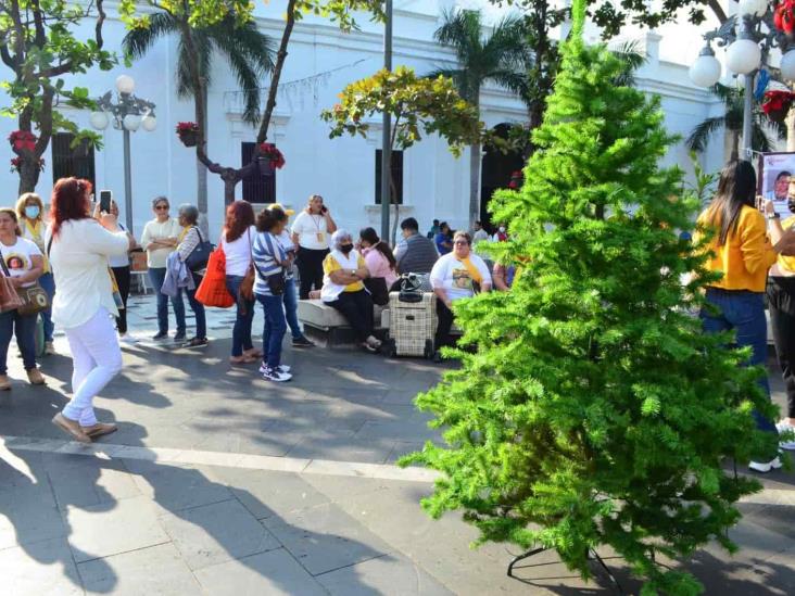 Sin permiso del ayuntamiento, instalan Árbol del Dolor en Zócalo de Veracruz (+Video)