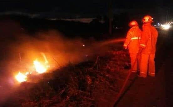 Incendios de pastizales en Alvarado no paran; serían provocados