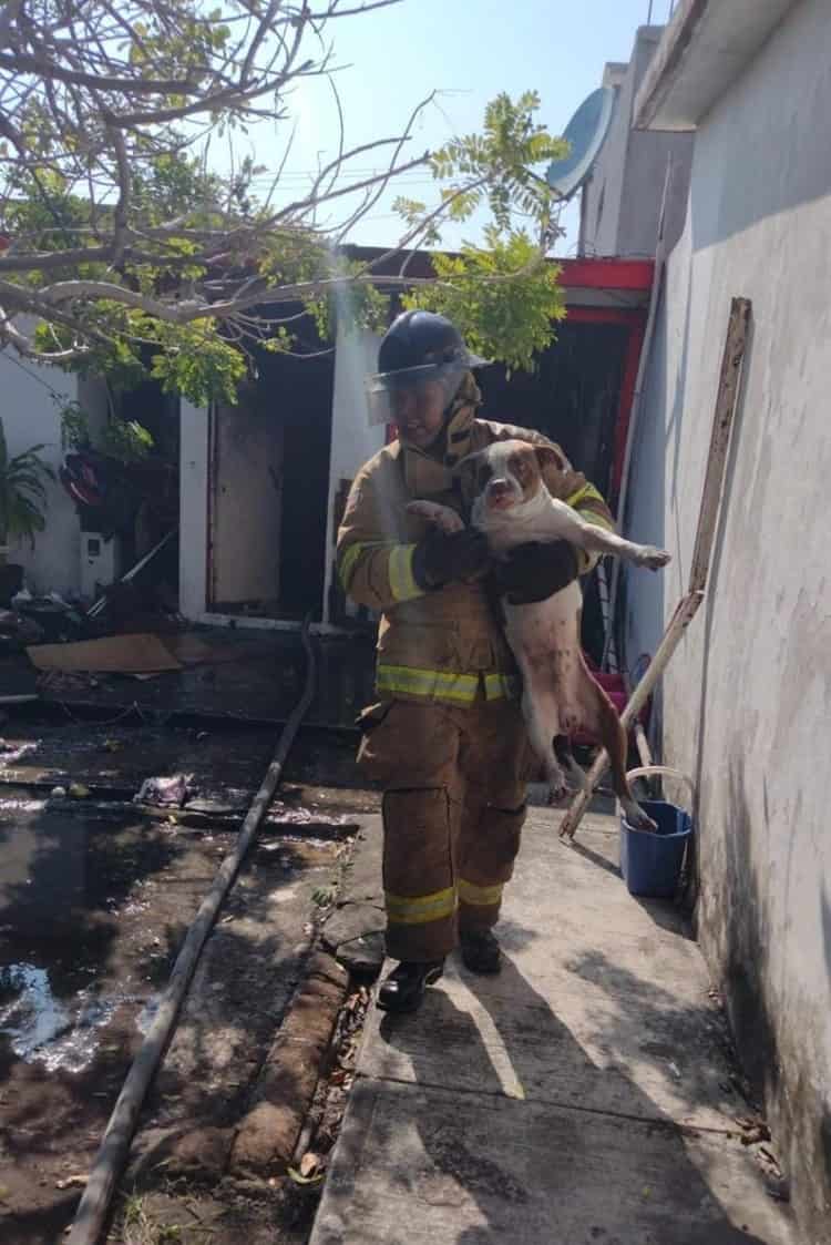 Rescatan a abuelito y su perrito de incendio en una casa en Puente Nacional