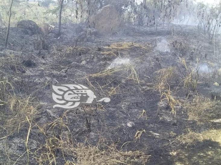 Incendio forestal moviliza a cuerpos de emergencia en Alto Lucero