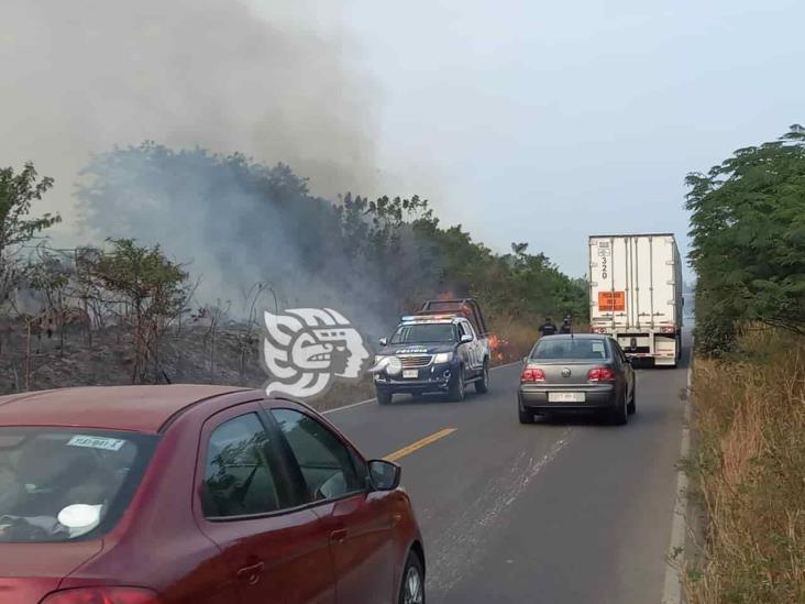 Incendio forestal moviliza a cuerpos de emergencia en Alto Lucero